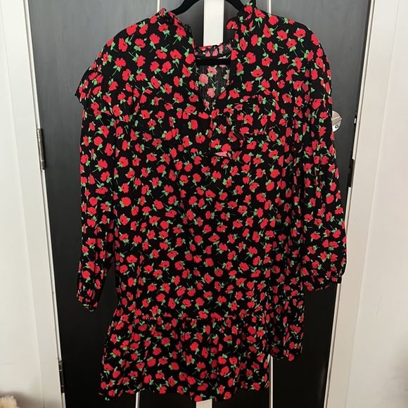 NWOT Zara floral mini dress - long sleeve, ruffle at hem and neck - large - Picture 3 of 4